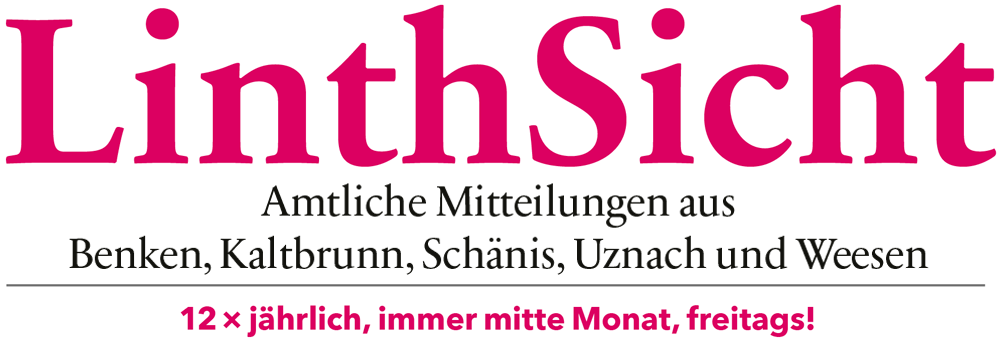 LinthSicht logo